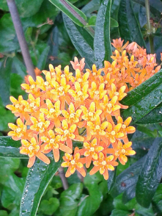 wp_004330.jpg